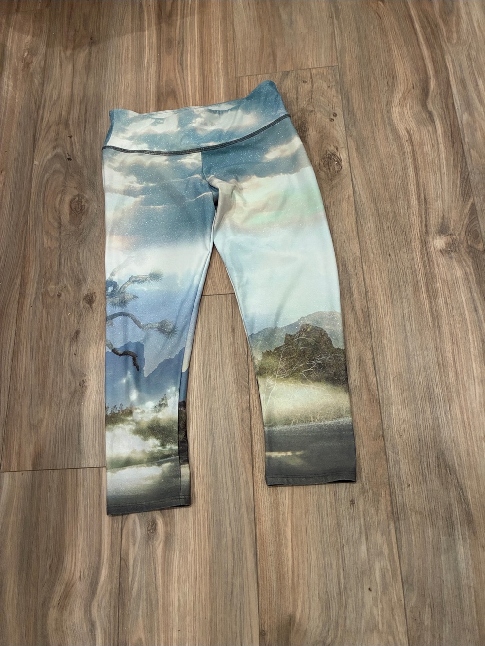 Women’s Scenic Blue Print Stretch Leggings ONZE BRAND SIZE S/M